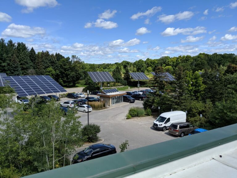 Earth Ranger's green facilities where QMC staff volunteered their time