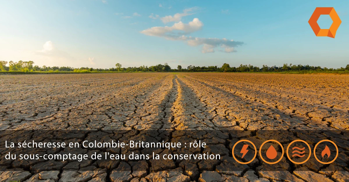 Faire face à la sécheresse en Colombie-Britannique